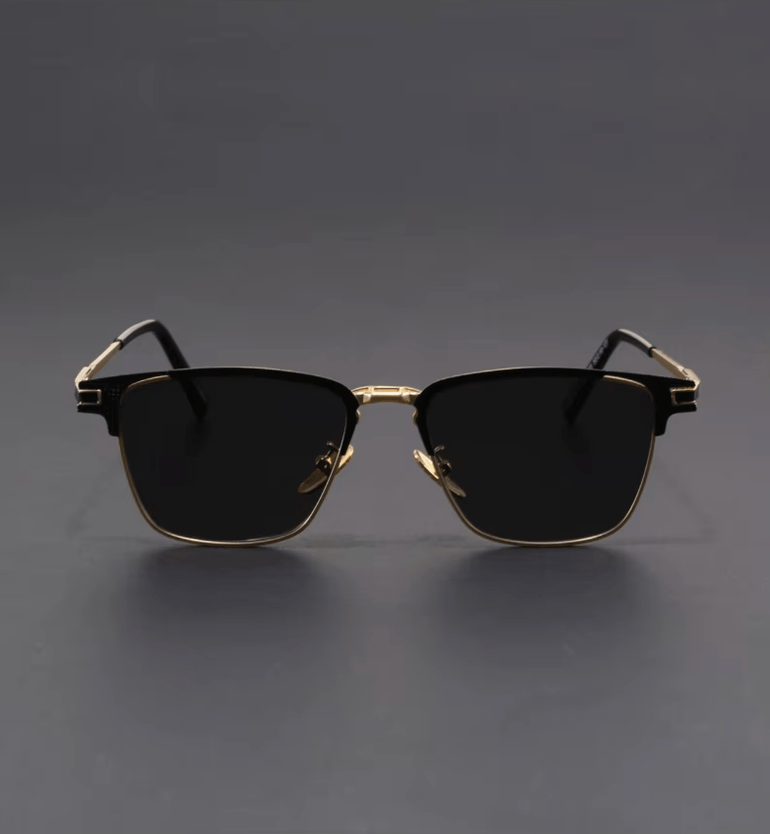 Polaris Titanium Sunglasses